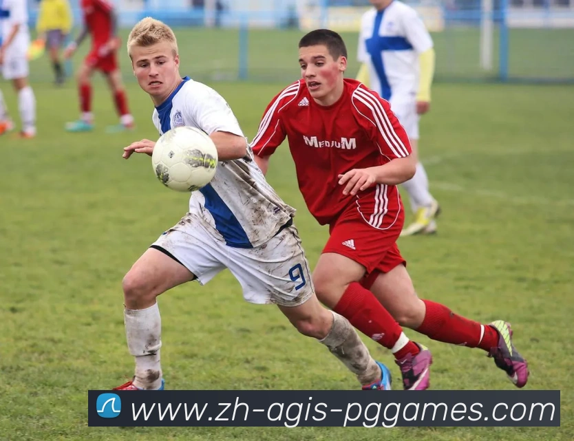 多媒体互动体验